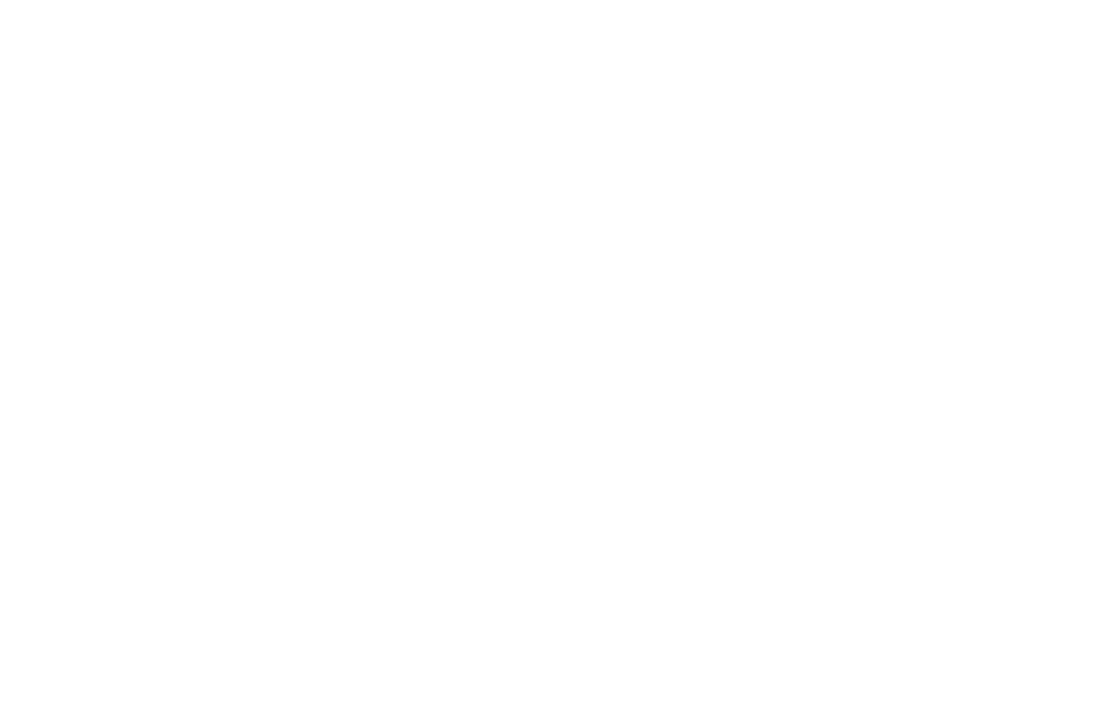 Teeo 